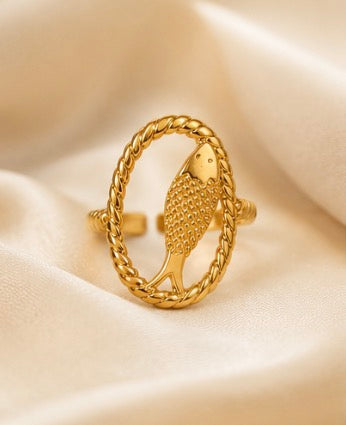 Anillo océano