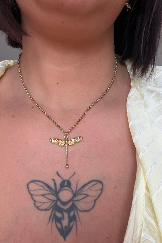 collar de una libélula en primer plano de frente.