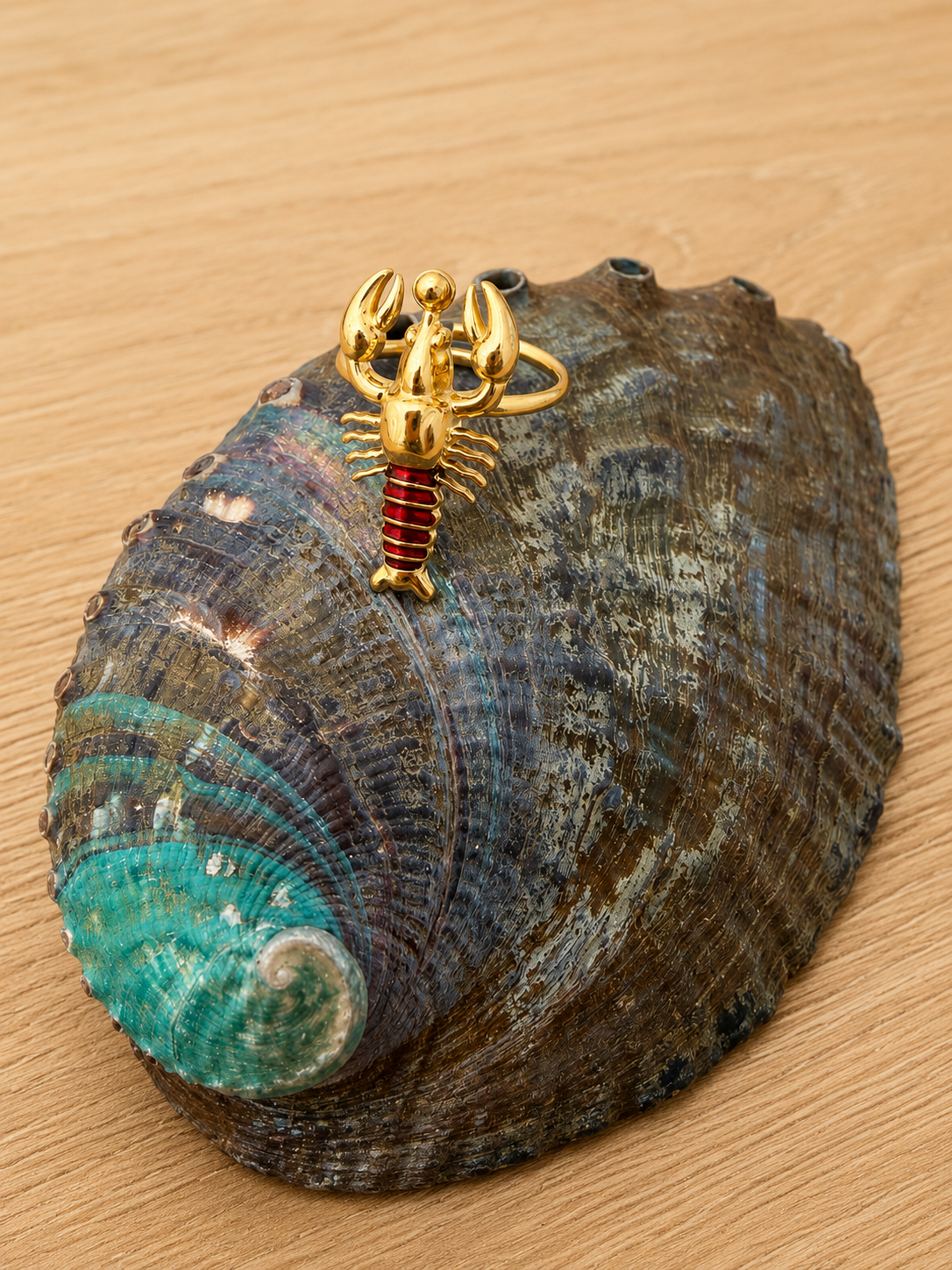Anillo Coralina 🦞
