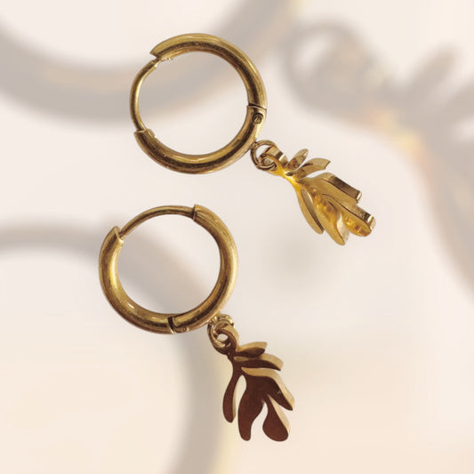 Aros con Charm
